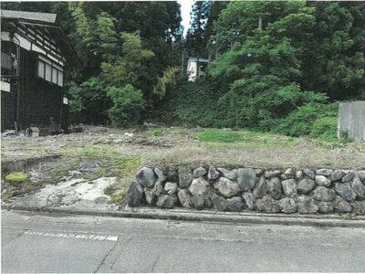 新潟県南魚沼郡湯沢町 岩原スキー場前駅23分 土地 93万円の競売物件 #2