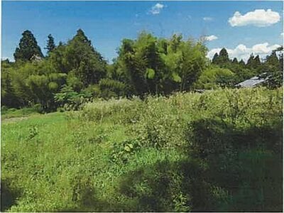 新潟県三条市 保内駅 農地 15万円の競売物件 #1