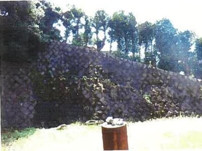 和歌山県海南市 下津駅28分 土地 226万円の競売物件 #9