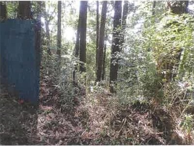 千葉県木更津市 高滝駅 土地 294万円の競売物件 #5