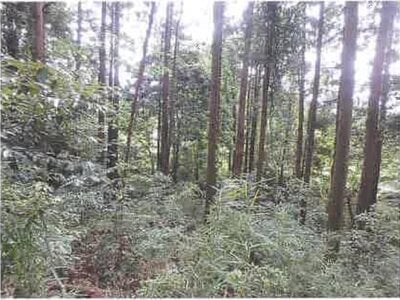 千葉県木更津市 高滝駅 土地 294万円の競売物件 #6