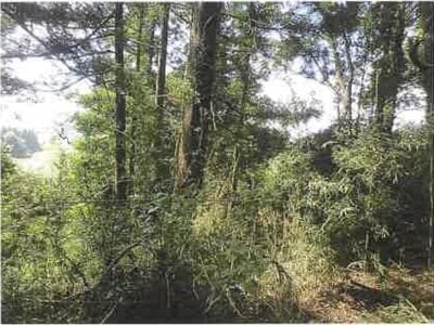 千葉県木更津市 高滝駅 土地 294万円の競売物件 #7