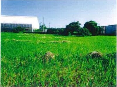 千葉県長生郡白子町 八積駅 土地 429万円の競売物件 #1