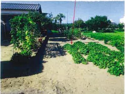 千葉県長生郡白子町 八積駅 土地 429万円の競売物件 #4