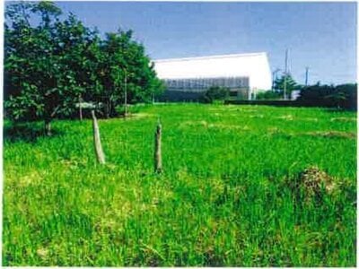 千葉県長生郡白子町 八積駅 土地 429万円の競売物件 #6