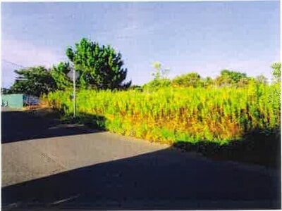 千葉県長生郡白子町 八積駅 土地 1,451万円の競売物件 #2