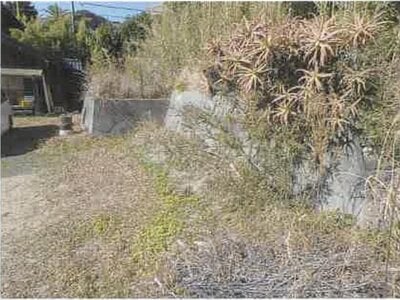 千葉県南房総市 館山駅 土地 230万円の競売物件 #10