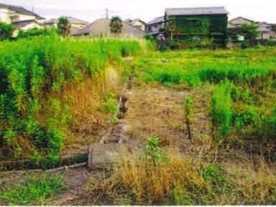 千葉県いすみ市 大原駅14分 戸建て 543万円の競売物件 #6