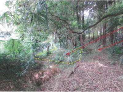 千葉県流山市 南柏駅17分 土地 21万円の競売物件 #1