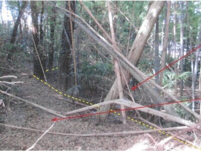 千葉県流山市 南柏駅17分 土地 21万円の競売物件 #2