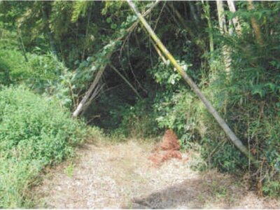 千葉県流山市 南柏駅17分 土地 21万円の競売物件 #3