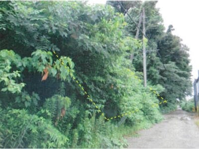 千葉県流山市 豊四季駅18分 土地 25万円の競売物件 #4