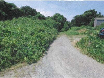 千葉県柏市 柏の葉キャンパス駅17分 戸建て 3万円の競売物件 #5