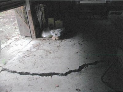 千葉県柏市 柏の葉キャンパス駅17分 戸建て 3万円の競売物件 #8