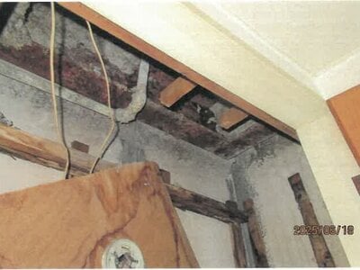 大阪府大阪市住吉区 住吉東駅8分 戸建て 3,106万円の競売物件 #51