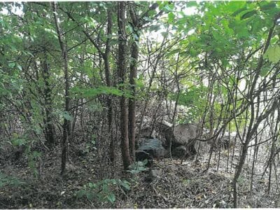 大阪府東大阪市 瓢箪山駅15分 戸建て 2,319万円の競売物件 #13