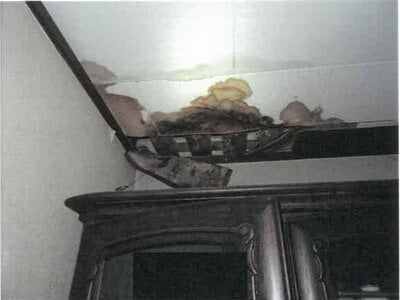 大阪府枚方市 宮之阪駅5分 戸建て 1億1,839万円の競売物件 #29