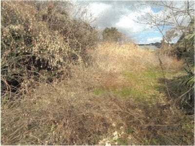 (値下げ) 徳島県鳴門市 阿波大谷駅23分 土地 97万円の競売物件 #3