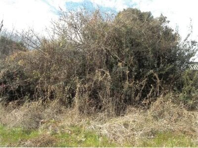 (値下げ) 徳島県鳴門市 阿波大谷駅23分 土地 97万円の競売物件 #4