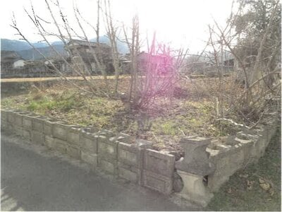 (値下げ) 徳島県吉野川市 阿波山川駅3分 土地 104万円の競売物件 #3