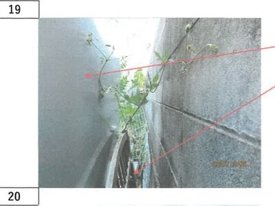 徳島県鳴門市 教会前駅9分 戸建て 718万円の競売物件 #15
