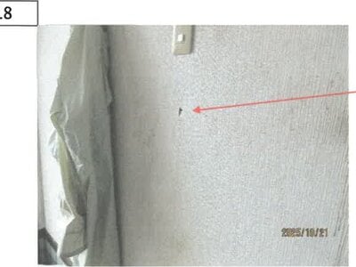 徳島県板野郡板野町 板野駅12分 戸建て 193万円の競売物件 #13