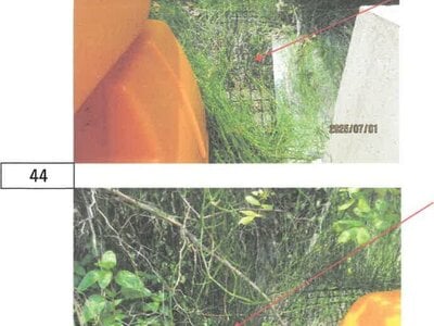 徳島県徳島市 徳島駅 戸建て 1,033万円の競売物件 #36