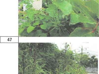 徳島県徳島市 徳島駅 戸建て 1,033万円の競売物件 #38