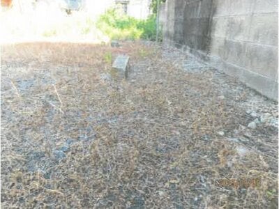 徳島県徳島市 文化の森駅22分 戸建て 1,682万円の競売物件 #13