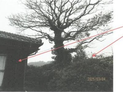 (値下げ) 徳島県吉野川市 阿波川島駅17分 戸建て 139万円の競売物件 #19