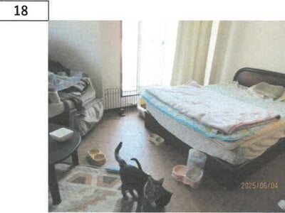 (値下げ) 徳島県板野郡板野町 板野駅10分 戸建て 293万円の競売物件 #12