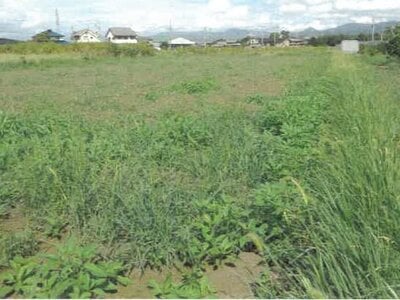 (値下げ) 徳島県吉野川市 鴨島駅21分 農地 161万円の競売物件 #3