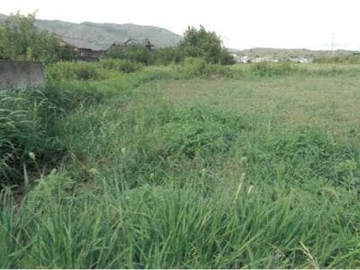 (値下げ) 徳島県吉野川市 鴨島駅21分 農地 161万円の競売物件 #4