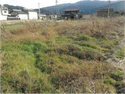 (値下げ) 徳島県吉野川市 阿波山川駅7分 農地 25万円の競売物件 #2