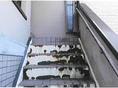 熊本県宇土市 緑川駅18分 戸建て 466万円の競売物件 #13