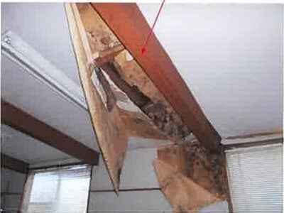 熊本県熊本市南区 宇土駅 戸建て 201万円の競売物件 #11