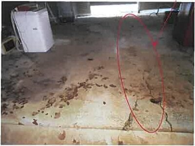 熊本県熊本市南区 宇土駅 戸建て 201万円の競売物件 #7