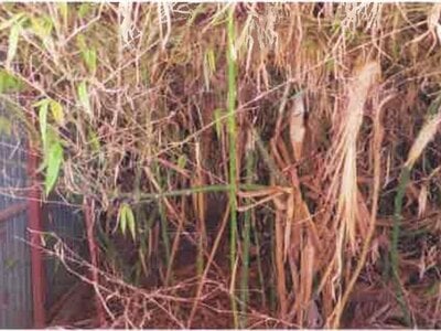 福島県郡山市 郡山富田駅 戸建て 2,810万円の競売物件 #40