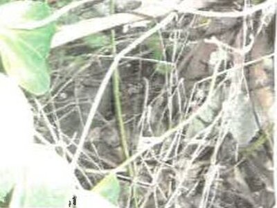 福島県会津若松市 会津若松駅22分 土地 337万円の競売物件 #10