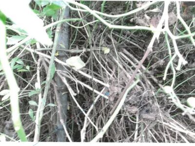 福島県会津若松市 会津若松駅22分 土地 337万円の競売物件 #11