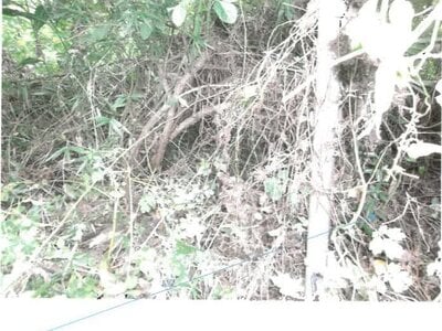 福島県会津若松市 会津若松駅22分 土地 337万円の競売物件 #12