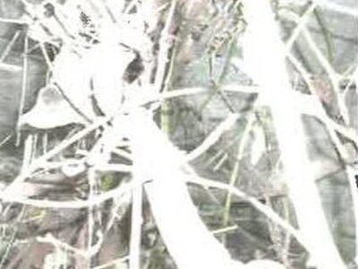 福島県会津若松市 会津若松駅22分 土地 337万円の競売物件 #8