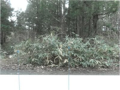 福島県耶麻郡猪苗代町 土地 28万円の競売物件 #1