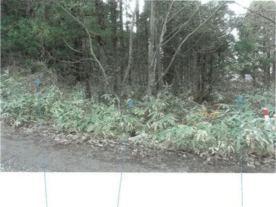 福島県耶麻郡猪苗代町 土地 28万円の競売物件 #2