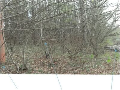 福島県耶麻郡猪苗代町 土地 28万円の競売物件 #3