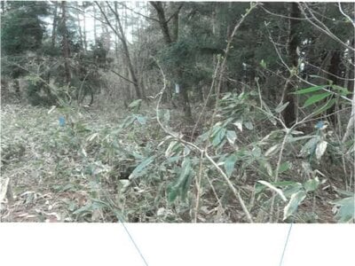 福島県耶麻郡猪苗代町 土地 28万円の競売物件 #4