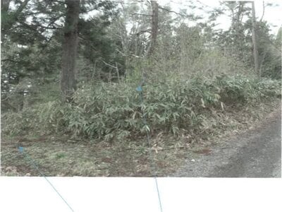 福島県耶麻郡猪苗代町 土地 28万円の競売物件 #5