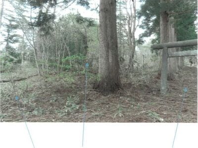 福島県耶麻郡猪苗代町 土地 28万円の競売物件 #6