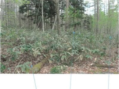 福島県耶麻郡猪苗代町 土地 211万円の競売物件 #10