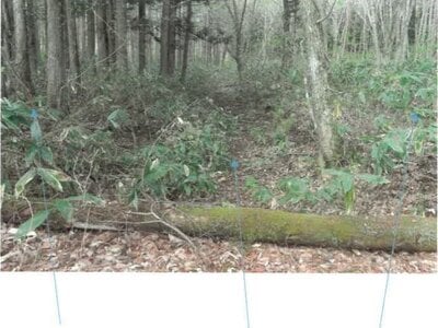 福島県耶麻郡猪苗代町 土地 211万円の競売物件 #11